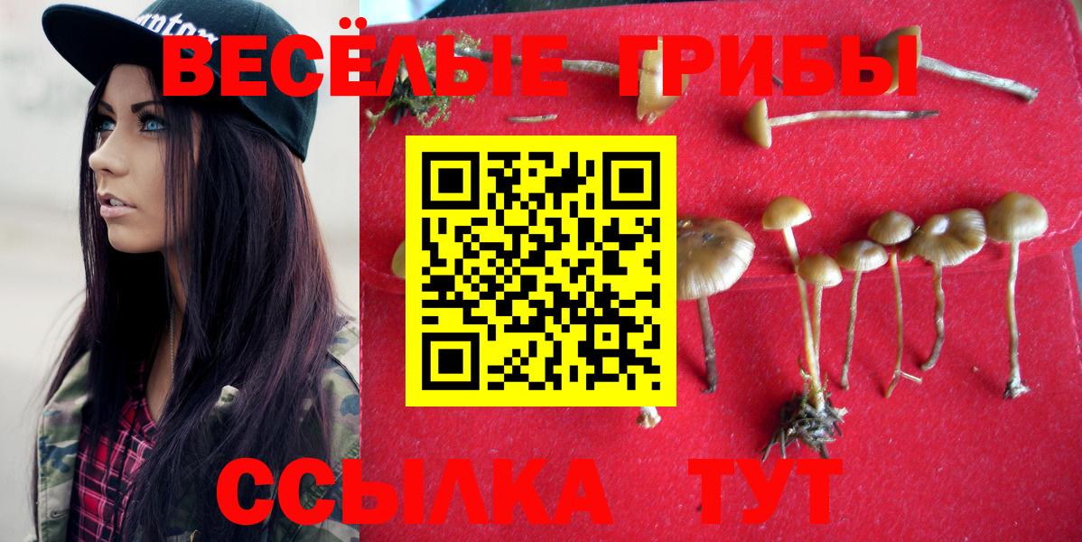 Фролово  закладки  Вход с VPN  Галлюциногенные грибы GOLDEN TEACHER 